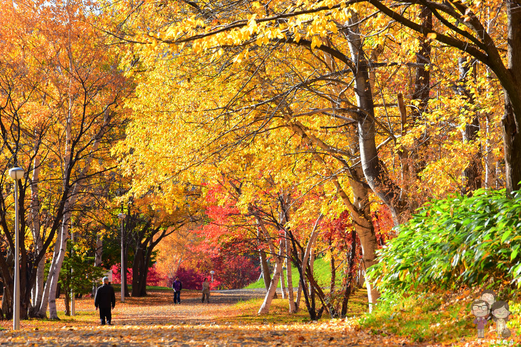 北海道札幌｜札幌冬奧主會場「真駒內公園」，化身為迷人秋色的紅葉景點 @嘿!部落!