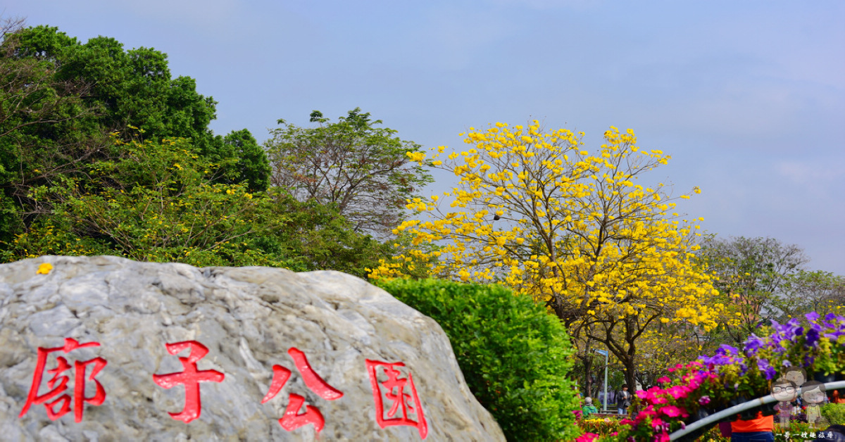 台中北屯景點｜3月限定的黃金風鈴木~廍子公園 景賢路和太祥路口 @嘿!部落!