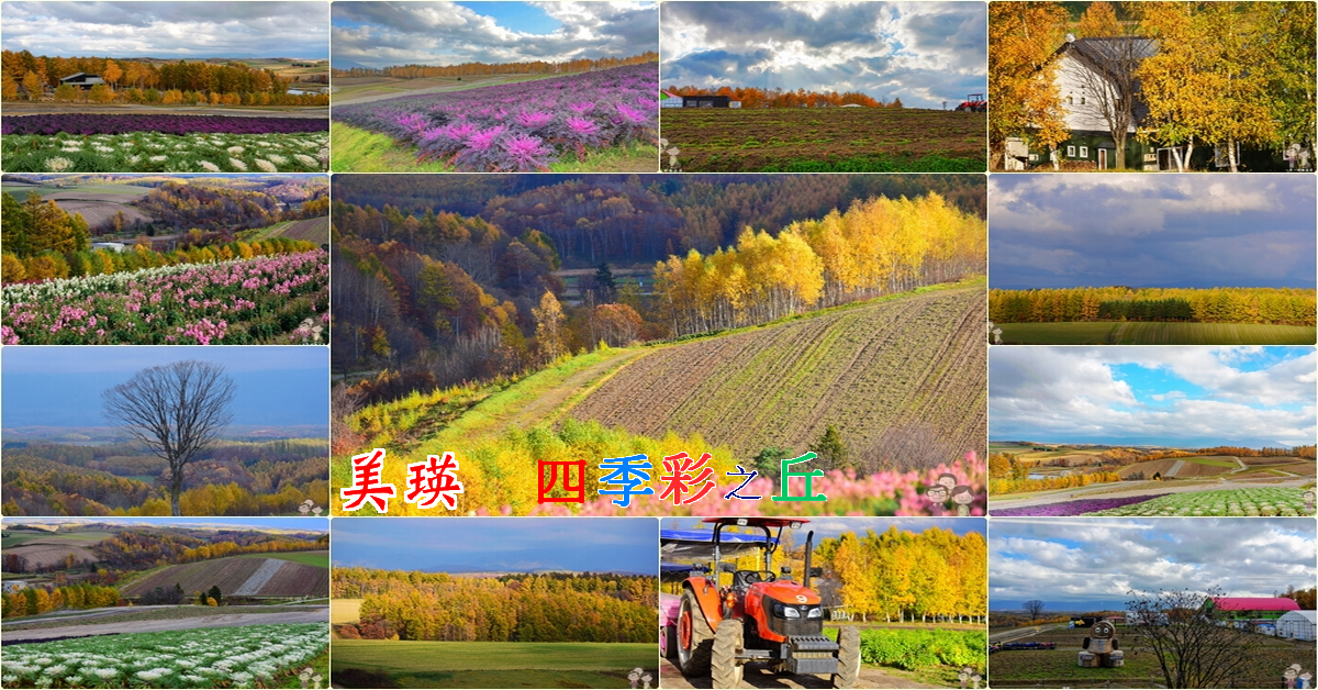 北海道美瑛｜少了夏日的彩色花田，四季彩之丘的秋色依舊迷人！還可以上賣店的2樓用餐兼賞景 @嘿!部落!