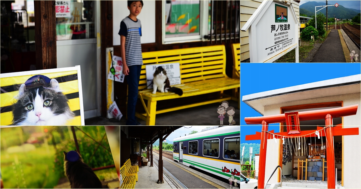 福島 蘆之牧溫泉駅｜會津鐵道上的小站風情多，慵懶貓站長LOVE駐站中 @嘿!部落!