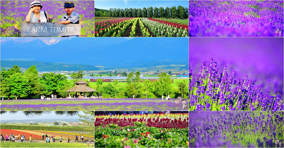 即時熱門文章：夏日北海道｜富良野必遊景點～富田農場，紫色的魔幻魅力＋彩色的花花世界