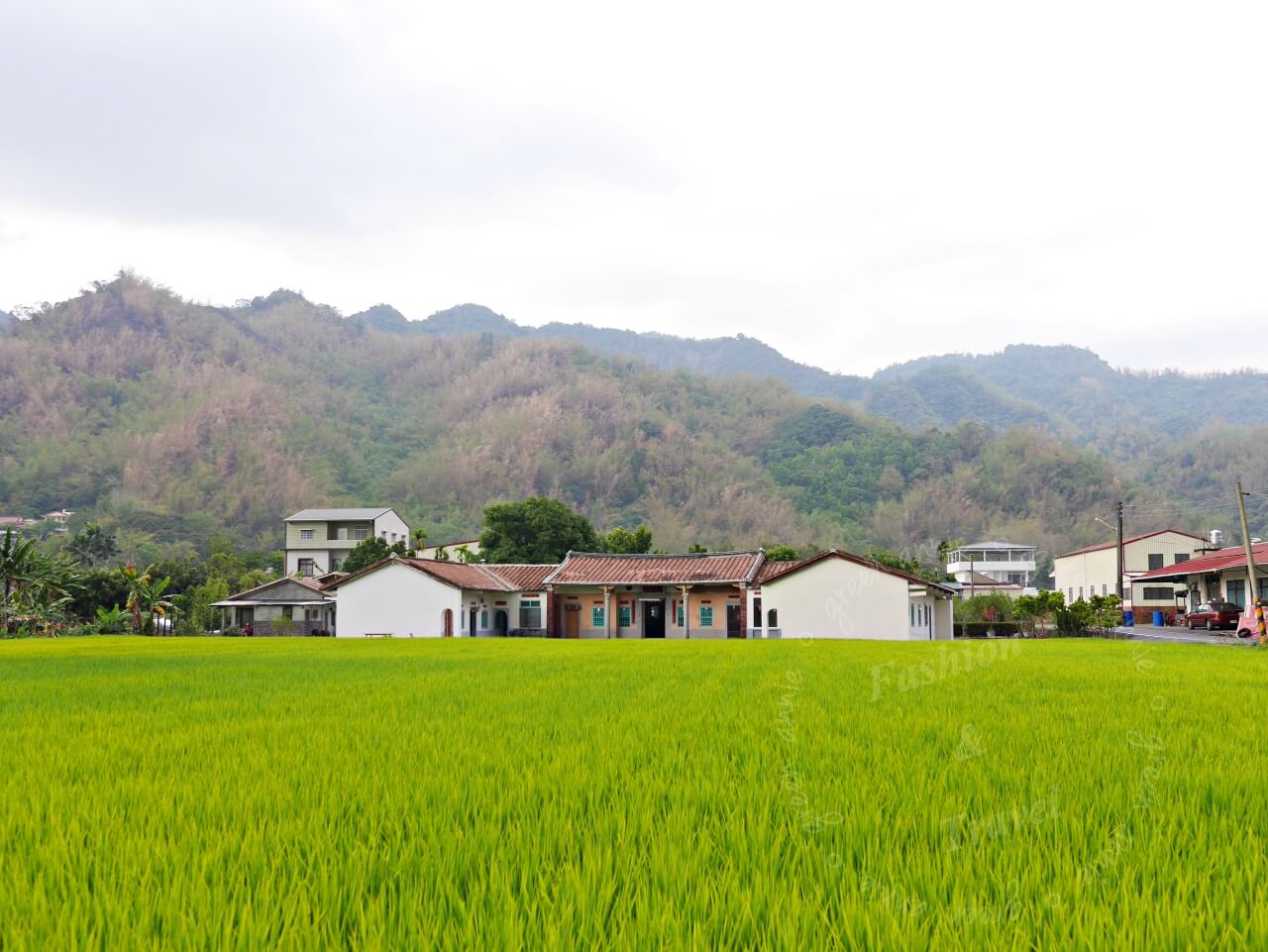 高雄住宿,美濃山下香蕉與黑膠三和院，遠離都市塵囂、放空休憩好去處 @嘿!部落!