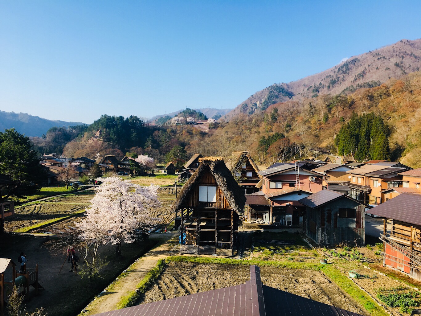 夏至、養生，一年都健康 @嘿!部落!