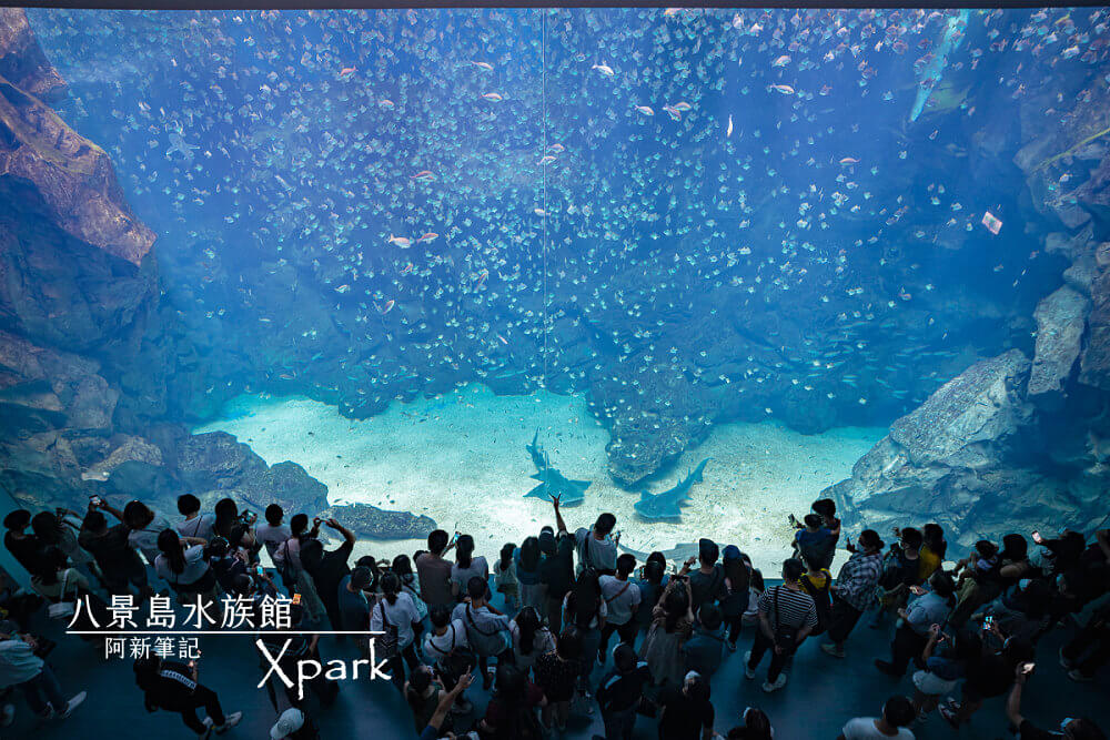 Xpark |2020最人氣桃園水族館，xpark門票價格、xpark交通及13區介紹～ @嘿!部落!