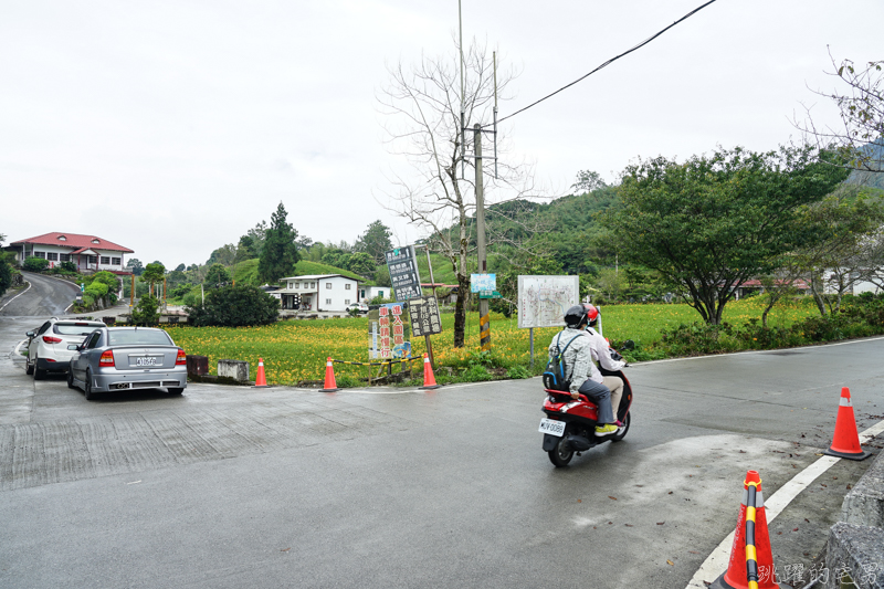 [花蓮金針花季]2019赤科山金針花-金黃色地毯鋪滿山頭 還有很多花沒開 20190820花況 花蓮一日行程推薦 大推原饗屋炸牛蒡 嘉茗茶園 毫香碧綠茶 花蓮vlog @嘿!部落!