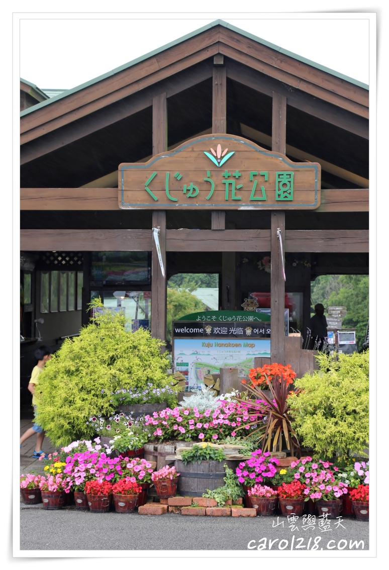 久住花公園～山嵐夢幻花海美景，夏季限定薰衣草花田及採藍莓體驗 @嘿!部落!