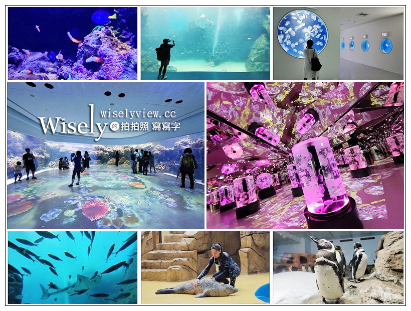 桃園水族館。Xpark水族館。八景島水生公園水族館︱開幕交通、門票場次、樓層設施、飯店住宿，13展區全制霸內容分享～桃園景點 x 華泰名品城(置地廣場) @嘿!部落!