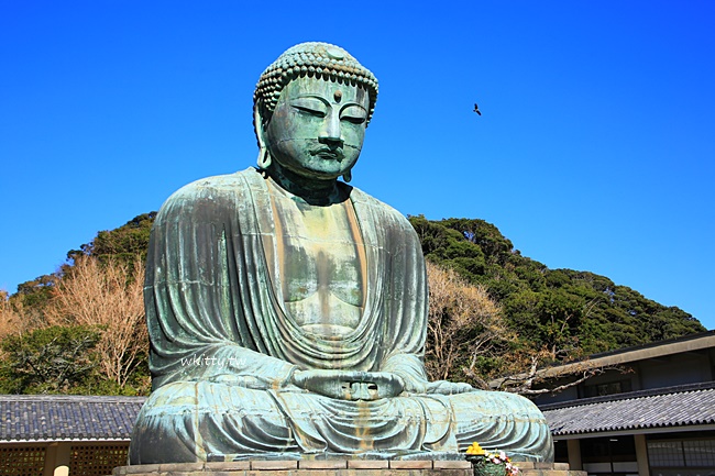 即時熱門文章：【日本鎌倉景點】鎌倉大佛,必遊推薦!沒來看過等於沒來過鎌倉!?