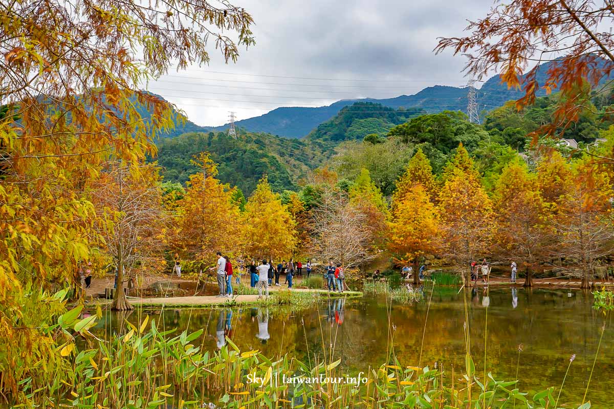 【雲水度假森林】苗栗南庄落羽松秘境季節.溫泉住宿景點.露營場地.門票 @嘿!部落!
