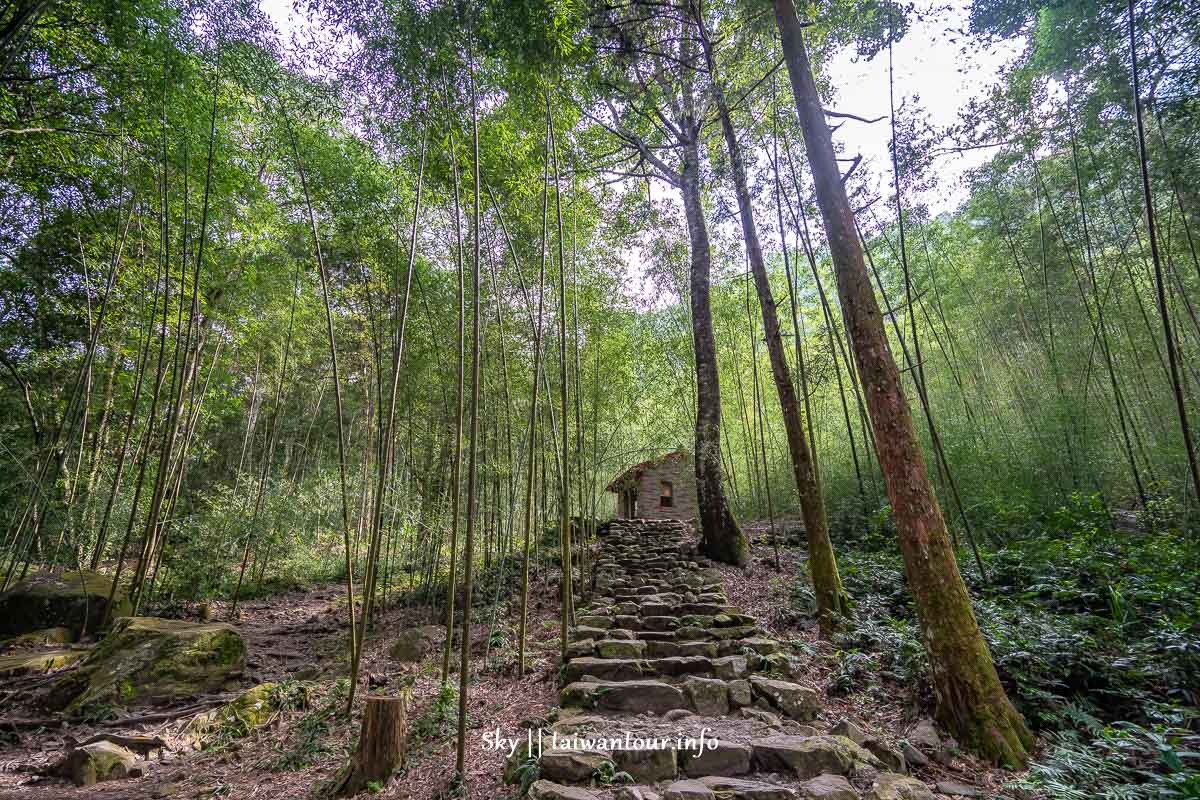 【八仙山森林遊樂區】台中親子景點推薦.和平天空步道 @嘿!部落!