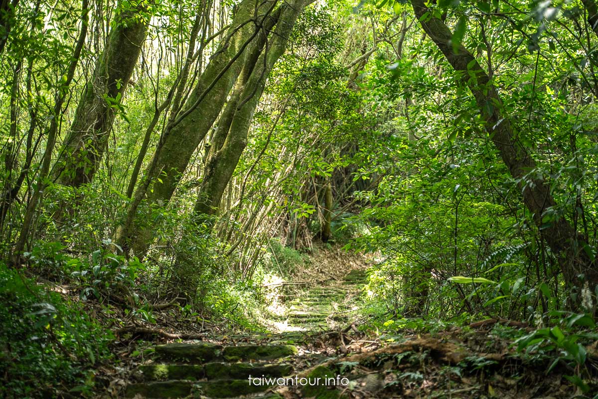【猴崁湖田國小步道(陽峰古道)】陽明山秘境步道 @嘿!部落!