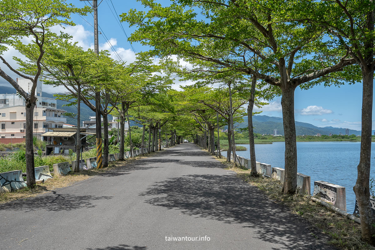 【下埔綠色隧道/四十甲溼地】宜蘭自行車親子步道 @嘿!部落!