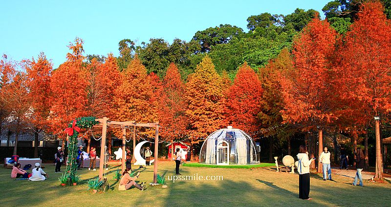 青青食尚花園會館落羽松，台北落羽松秘境2026，士林婚宴會館落羽松推薦 @嘿!部落!