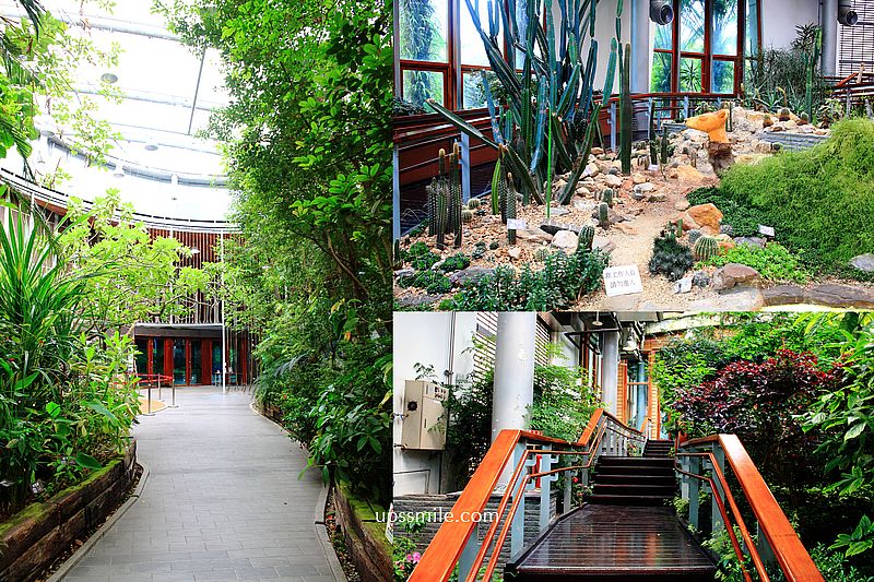 臺北典藏植物園，台北鑽石級綠建築溫室森林免門票，天使生活館一起玩，橫掃IG網美打卡景點，親子景點必去，台北森林系玻璃屋花園，台北雨天備案玩法