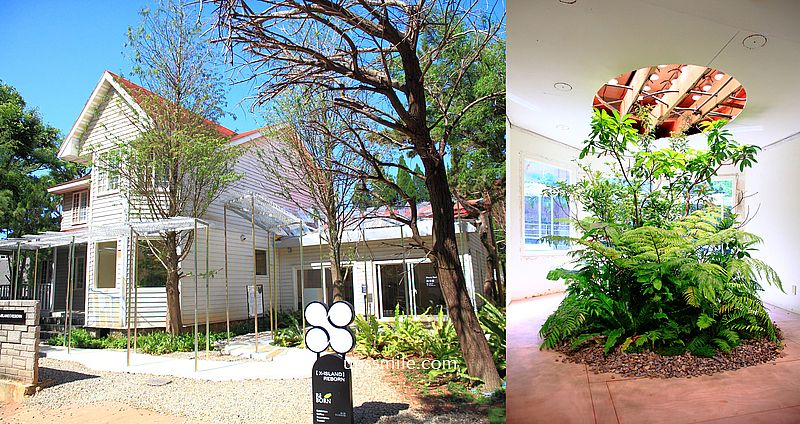桃園新景點 X-iSLAND REBORN 龜山植藝實驗所，森林系美式老洋房重生，桃園免門票景點展覽 @嘿!部落!