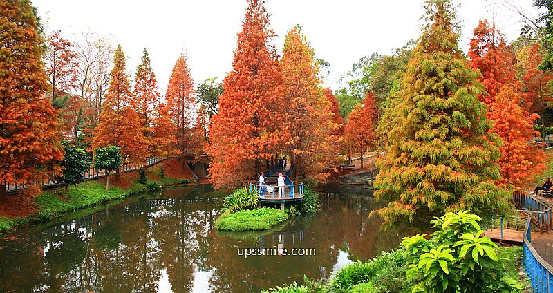 桃園景點【長庚養生文化村落羽松公園】絕美夢幻水上木棧道落羽松秘境 @嘿!部落!