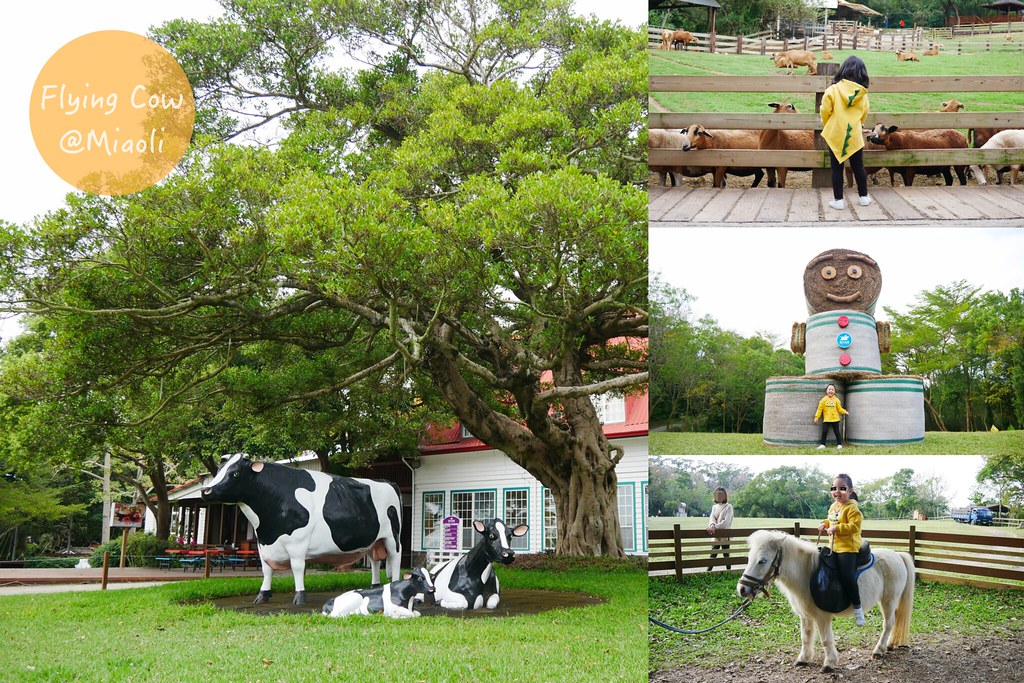 苗栗通霄｜飛牛牧場．親子同樂苗栗一日遊！餵牛、趕鴨、DIY 手作，還有美味餐點住宿全包！ @嘿!部落!