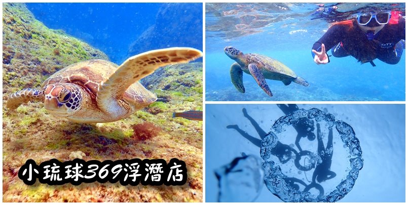 【小琉球冬天浮潛】小琉球冬天海龜更多浮潛更好玩！小琉球369浮潛店有專業教練帶你去跟海龜拍照&amp;抓魚！來小琉球就是要浮潛看海龜！(小琉球冬天旅遊、小琉球浮潛) @嘿!部落!
