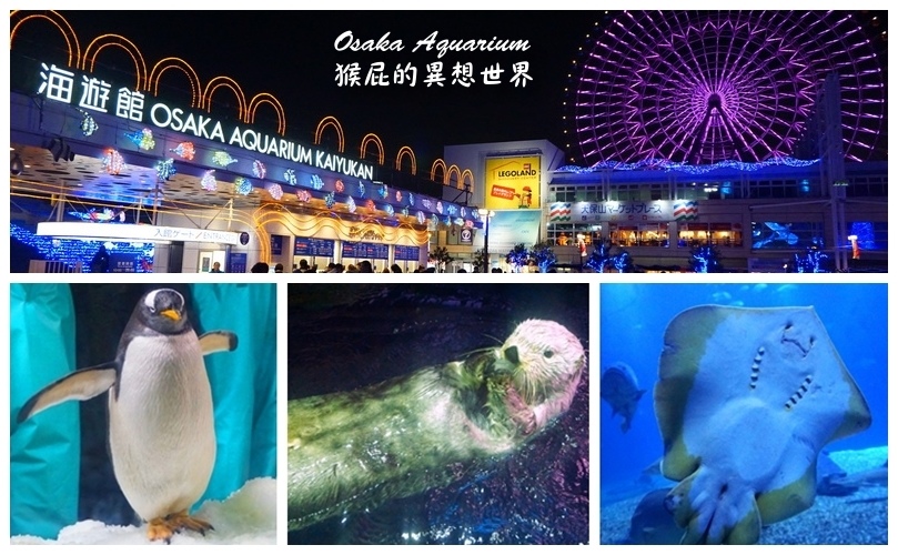 【日本景點】日本大阪自由行-大阪海遊館一日遊！號稱世界最大的水族館，就像在海底世界一樣，還可以親手摸到海洋生物！動物餵食秀超可愛！(海遊館交通、海遊館門票、天保山摩天輪) @嘿!部落!