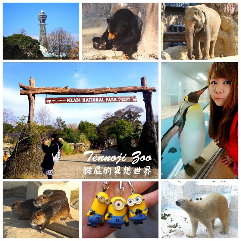 【日本大阪自由行】大阪天王寺動物園！太早去動物都還沒醒！大阪周遊卡免費入場！離通天閣只要5分鐘！扭蛋好多！(動物園前站) @嘿!部落!