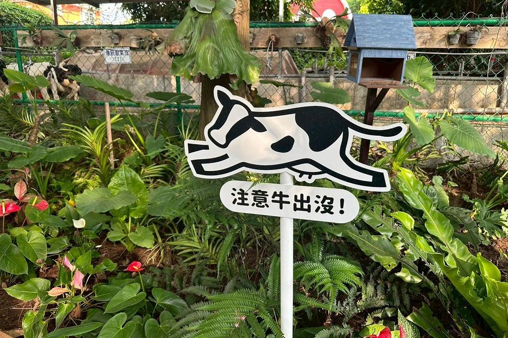 【嘉義景點餐廳推薦】綠盈牧場 &times; 養牛人家  餵小牛＋吃美食，嘉義親子景點一站滿足！ @嘿!部落!
