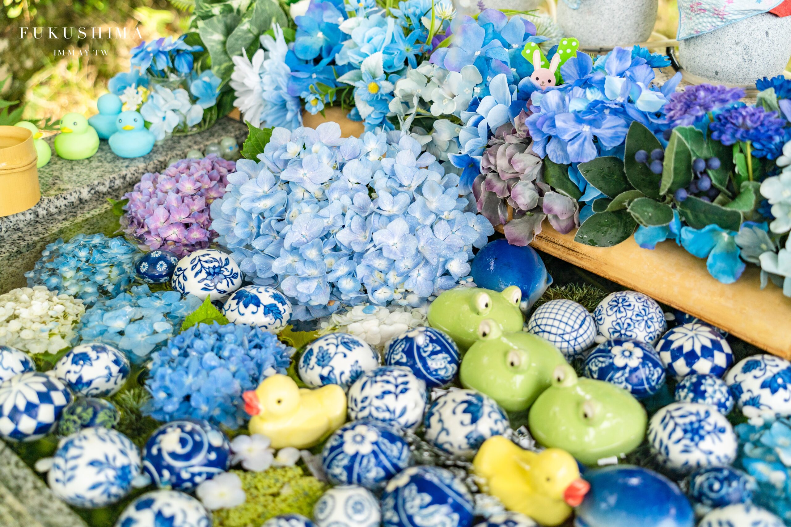 福島攝影記錄｜陽林寺紫陽花季：5,000 株繡球花圍繞的山寺，拍下初夏最靜謐的色彩 @嘿!部落!