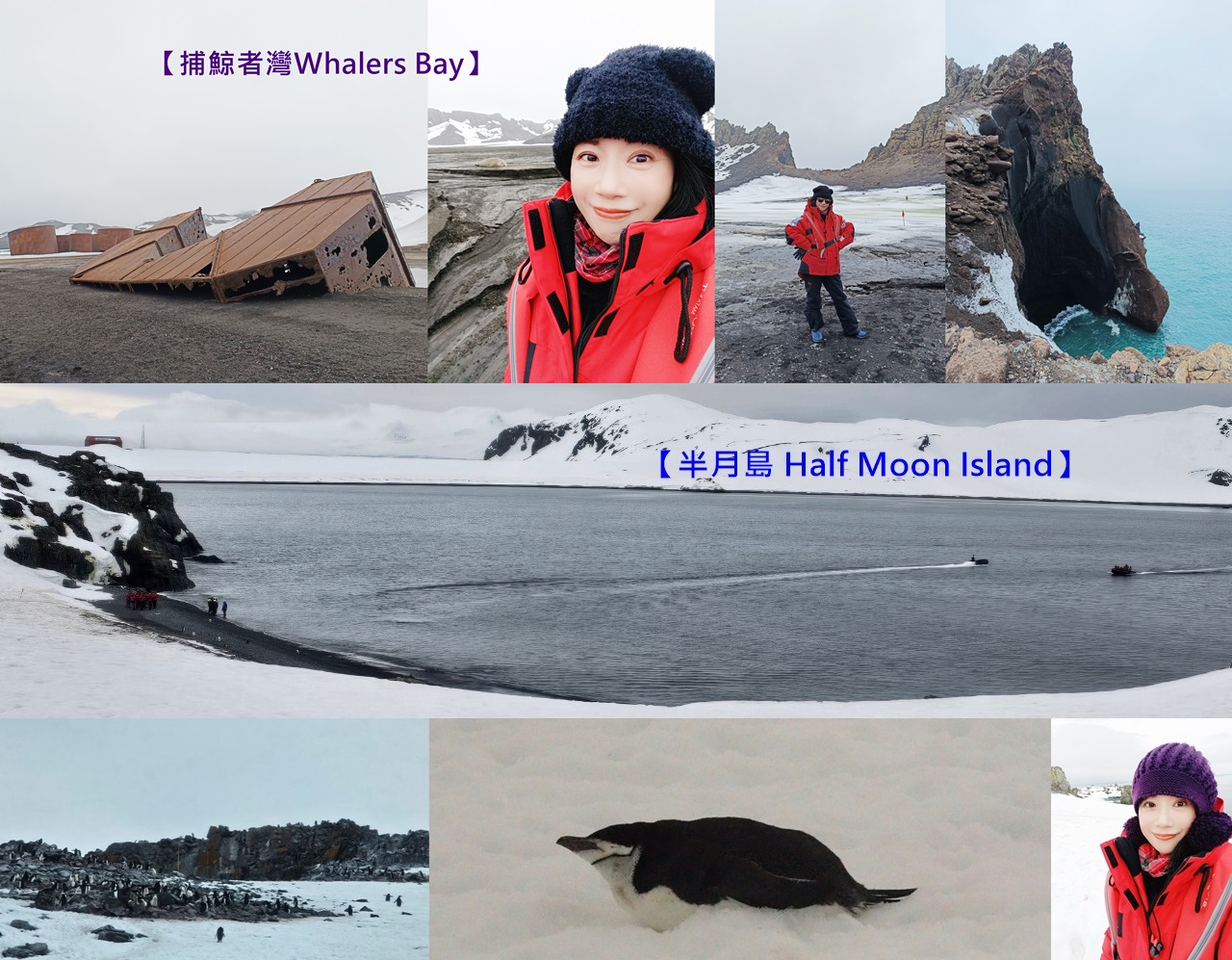 ◎2026年『南極』南設得蘭群島之【『欺騙島』海神風箱進入『捕鯨者灣』】／【半月島】可愛的帽帶企鵝／海巡【英格蘭海峽】 @嘿!部落!