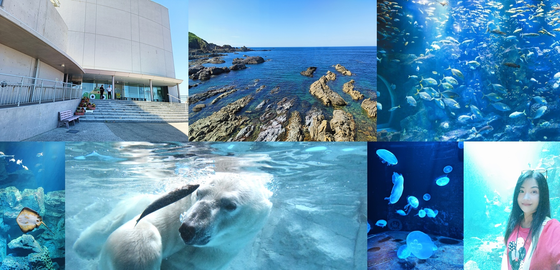 ◎日本東北秋田男鹿【男鹿水族館G A O】北極熊、企鵝、海豹、日本海四百種海洋生物(可愛微笑的魟魚) @嘿!部落!