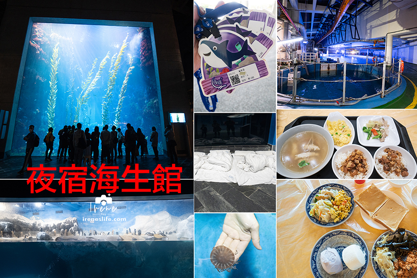 即時熱門文章：【屏東】與海底生物一起入睡！一泊三食還有滿滿的活動，夜宿海生館費用、注意事項、活動內容