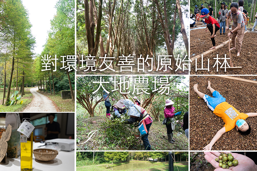 對環境超友善的有機農場，依季節舉辦不同的體驗活動，回歸自然體驗山林之美，這裡更是落羽松秘境 @嘿!部落!