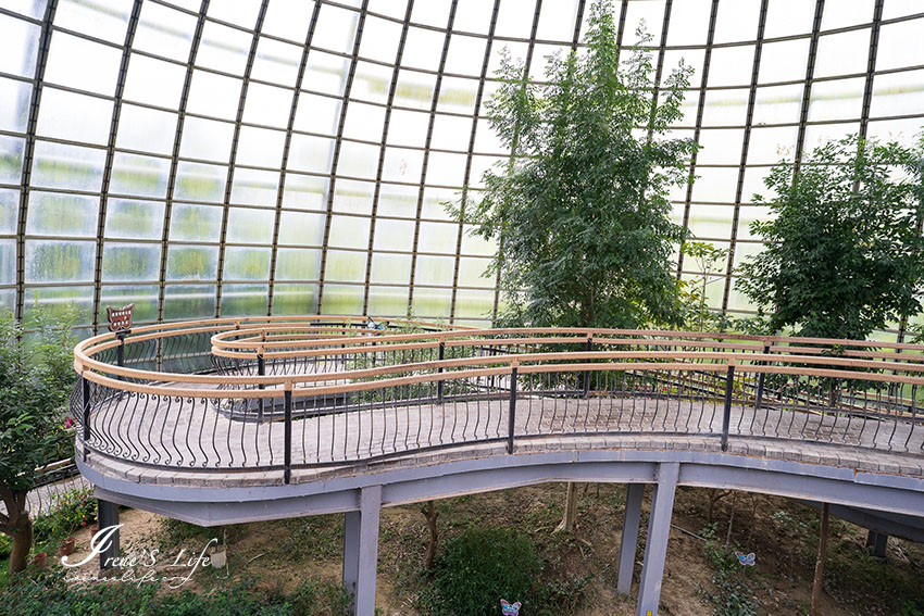 嘉義親子景點｜夢幻溫室蝴蝶花園、旋轉彩蝶柱，專人導覽詳細又知識充實，還可以近距離觸摸昆蟲、球蟒 @嘿!部落!
