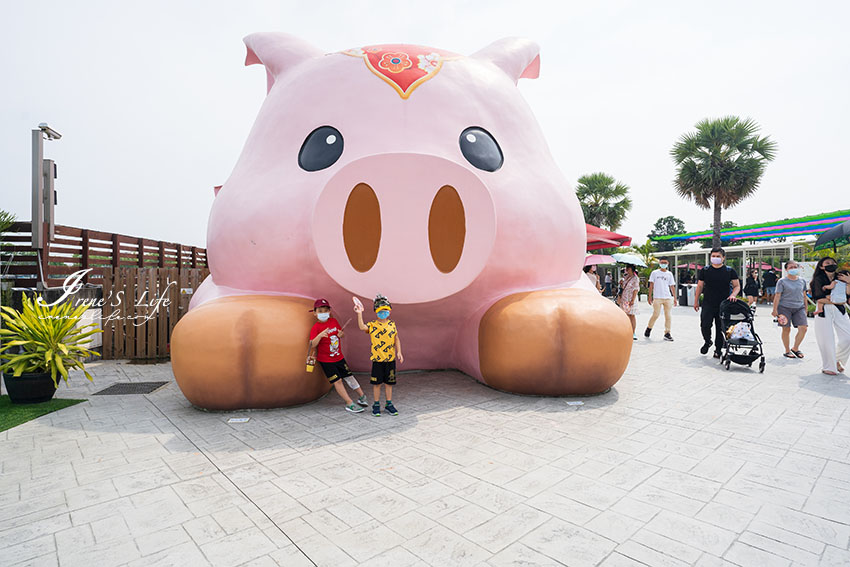 嘉義親子景點｜民雄超人氣景點，大草皮、遊戲區、餵動物、戲水、開放式鳥園，小孩玩到拉不走 @嘿!部落!