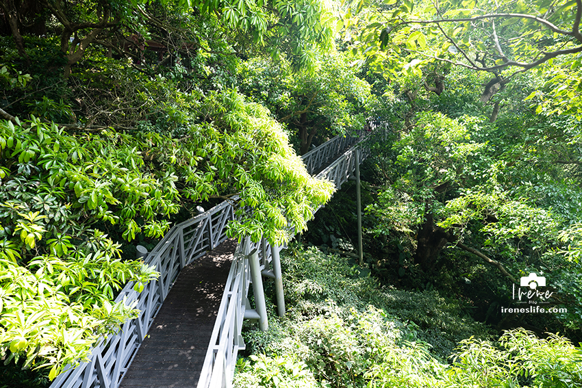 即時熱門文章：【五股】觀音山林梢步道，幼幼班入門等級的親子步道，綠意盎然的空中步道，一起走入戶外吧