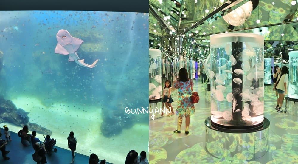 桃園XPARK水族館跟企鵝一起吃飯！Xpark水生公園門票&amp;餐廳攻略 @嘿!部落!