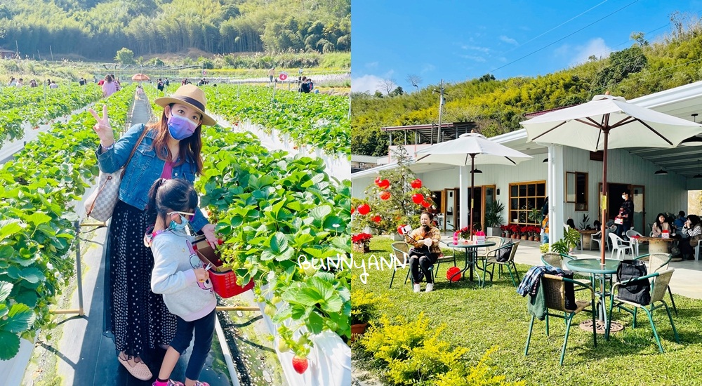 苗栗紅色琉璃瓦草莓園好貴？草莓一斤價格曝光(甜度) @嘿!部落!