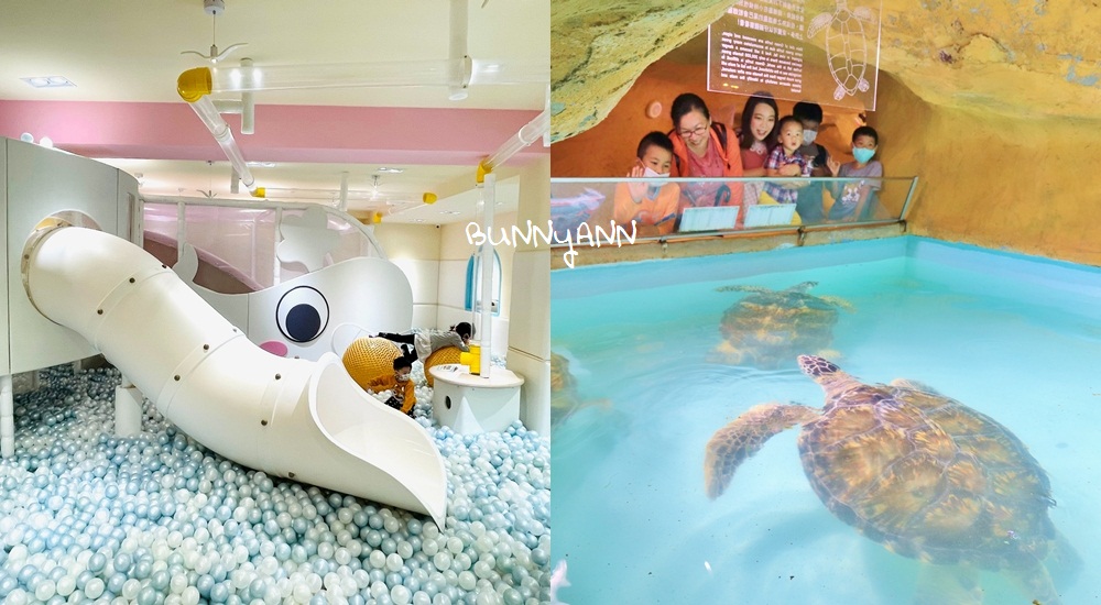 新北》來跟海豚親親！野柳海洋公園洞穴水族館，北部唯一海星觸摸池、真人高空跳水，放假就來這玩！ @嘿!部落!