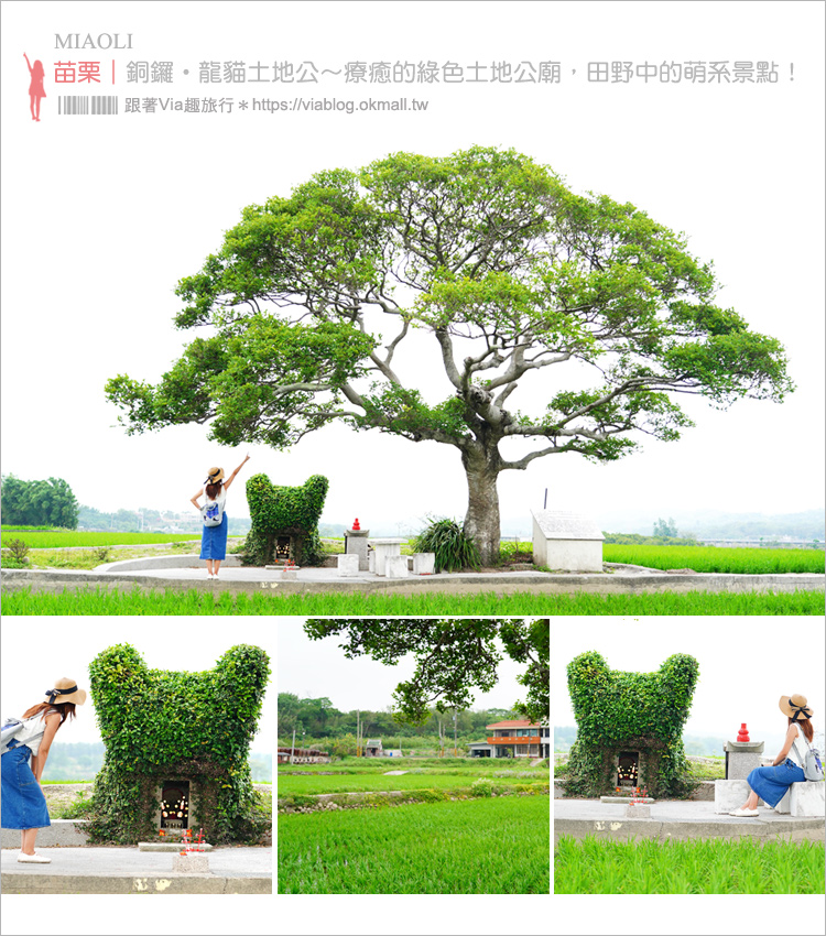 【苗栗銅鑼】銅鑼龍貓土地公～超療癒的綠色龍貓小屋，200年歷史的田心伯公等你來打卡！ @嘿!部落!