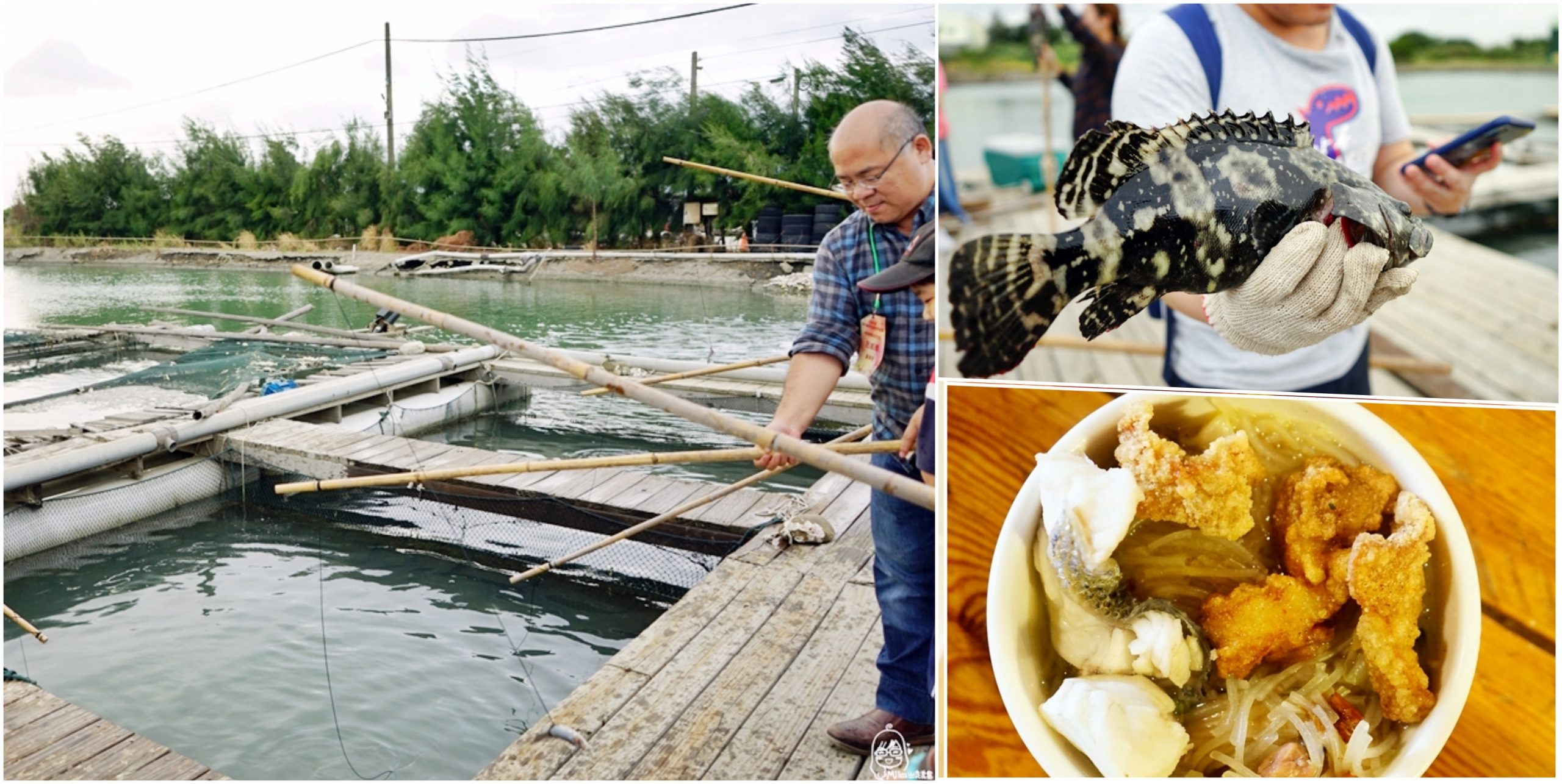 『新竹。竹北』 水月休閒藍鯨魚寮｜一日漁夫 博魚初體驗  漁場友善畜養龍虎石斑魚  無菜單料理X竹竿博魚體驗X木拓DIY。 @嘿!部落!