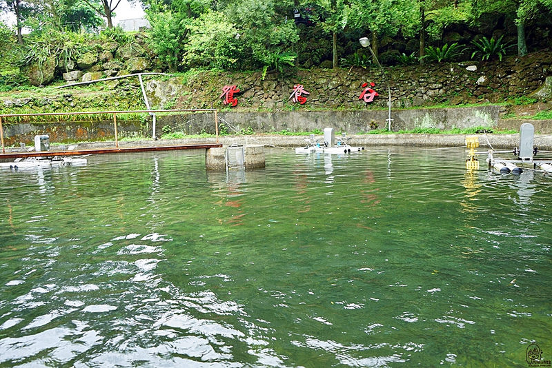 【新竹】 鴛鴦谷休閒養殖農場｜尖石秘境 群山環繞鴛鴦谷 瀑布群下的自家養殖現撈鱒魚、香魚及鱘龍魚  一魚三吃料理 尚青尚賀甲。