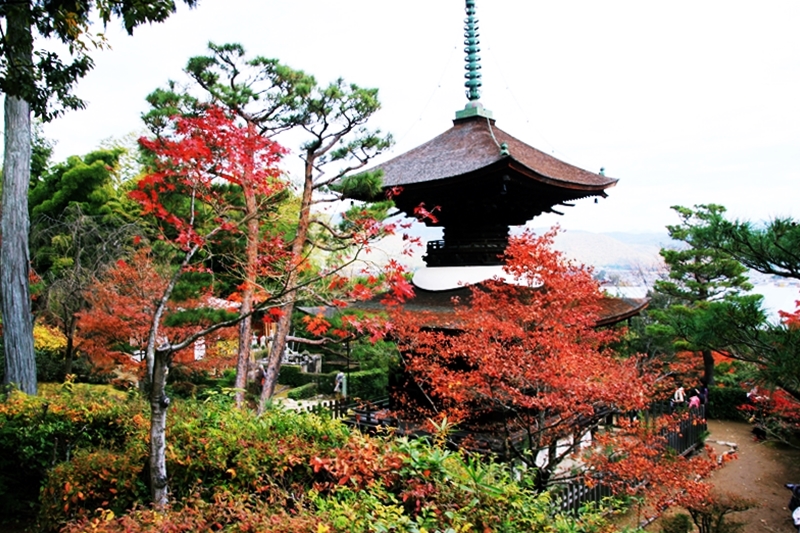 『日本。京都』常寂光寺｜絕美楓情  賞楓勝地   京都必去賞楓名所排行前三名內。｜2014京都大阪賞楓七天六夜 @嘿!部落!