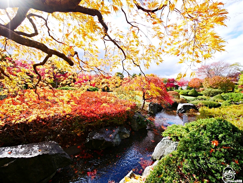 『日本 。北海道』 札幌 平岡樹藝中心｜就像市區內的小型植物園，秋楓季節最迷人，有著長達150公尺的紅葉隧道，漫步其間彷彿置身在圖畫中，醉人心脾｜2018 1021-1102東京、東北＆北海道萬聖節賞楓之旅 @嘿!部落!