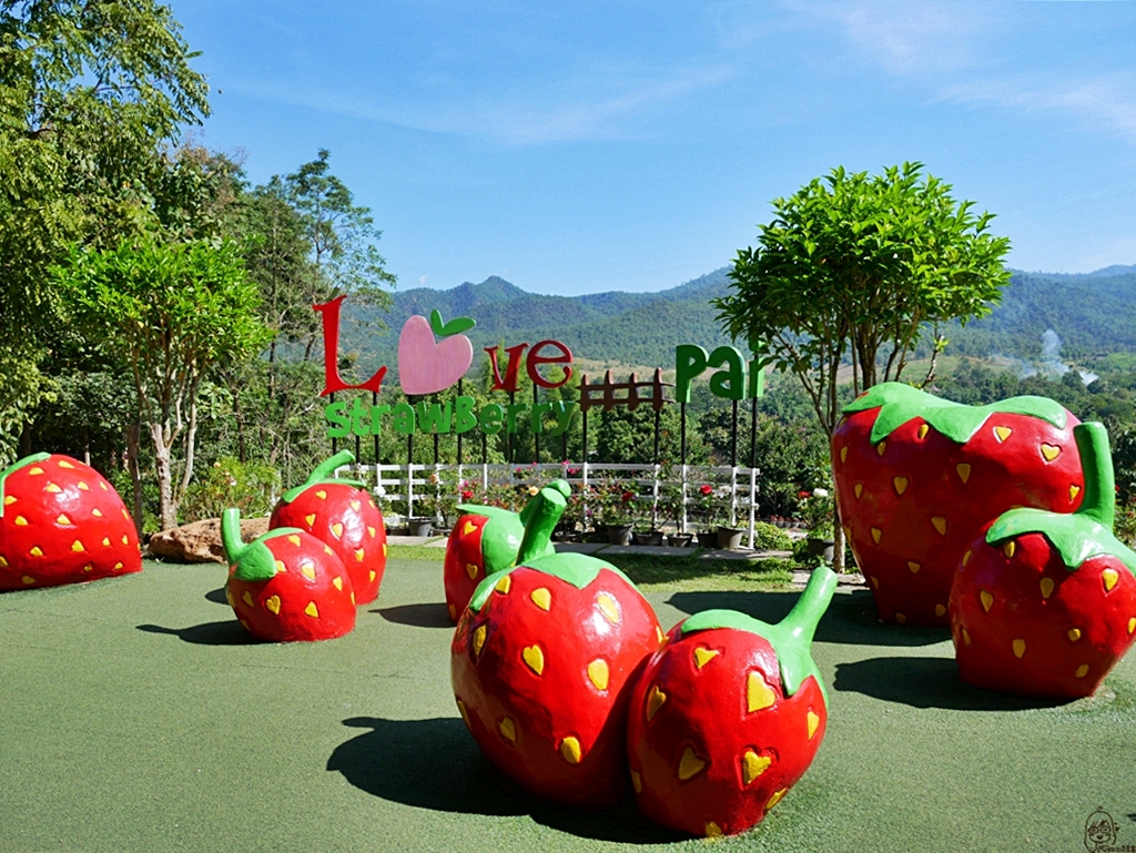 『泰國。擺鎮』Pai推薦景點 Love Strawberry Pai草莓園｜1095公路旁山景環繞的紅色草莓園，各種草莓裝置藝術拍到手軟，草莓、冰沙、果醬等這裡通通都買的到，草莓控必去景點｜2018/1117-1125 清邁｜清萊｜擺鎮 國際水燈節自駕九天八夜之旅 @嘿!部落!