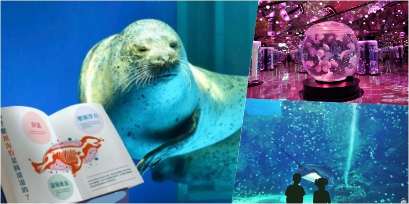 【桃園】八景島水族館 Xpark水生公園｜桃園最大也最美的水族館  打造不可思議的「海底之書」，超值必看重點懶人包！ @嘿!部落!
