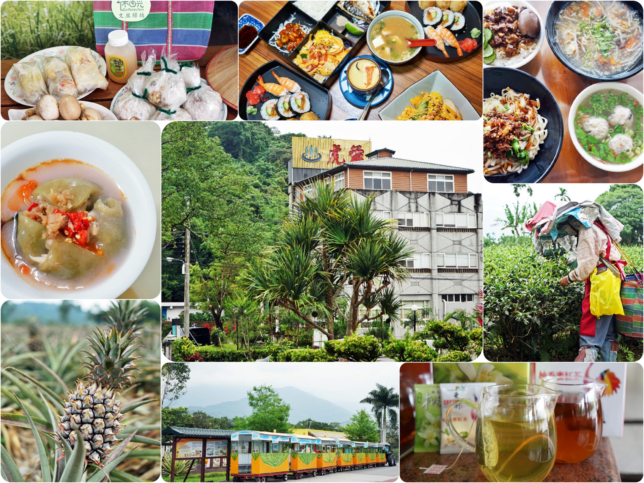 『花蓮。瑞穗』 2020台灣好湯-泡好湯享美食 訂房送美食券200元請你免費吃喝玩樂 ｜虎爺溫泉會館/木日光文旦驛站/東昇茶行/富興村鳳梨公園/綠茶肉圓/竹村日式料理/華玉冰果店。 @嘿!部落!