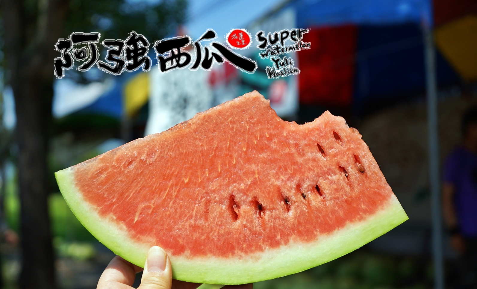 『花蓮。玉里』 阿強西瓜 Super watermelon YuliXigua｜花蓮西瓜首選 中央山脈旁秀姑巒溪畔 喝溪水長大的阿強西瓜  獨特沙沙口感、香甜多汁 產地直送 宅配到府服務。 @嘿!部落!