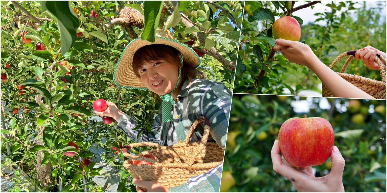 【嘉義】東市場 阿富網絲肉捲｜超人氣 傳統古早味豬網紗油包覆的超粗肉捲！一條只要70元，還有櫻花蝦口味喔。 @嘿!部落!