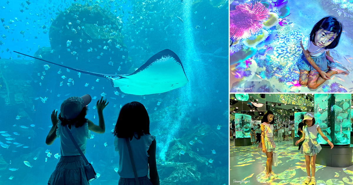 桃園水族館》Xpark 水族館～日本橫濱八景島跨海打造全台首座都會型水生公園，13 大主題展區超吸睛 @嘿!部落!