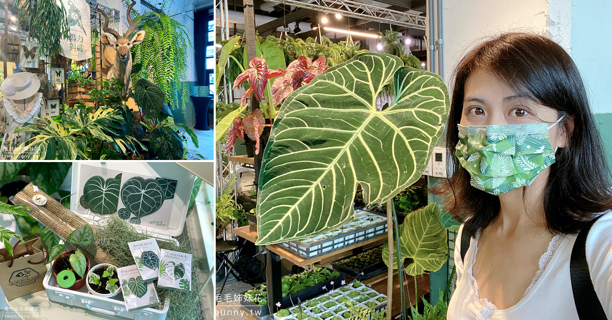 台北植物市集》台灣第一植物界 大型植物展覽市集，一次逛 60 家植物質感品牌