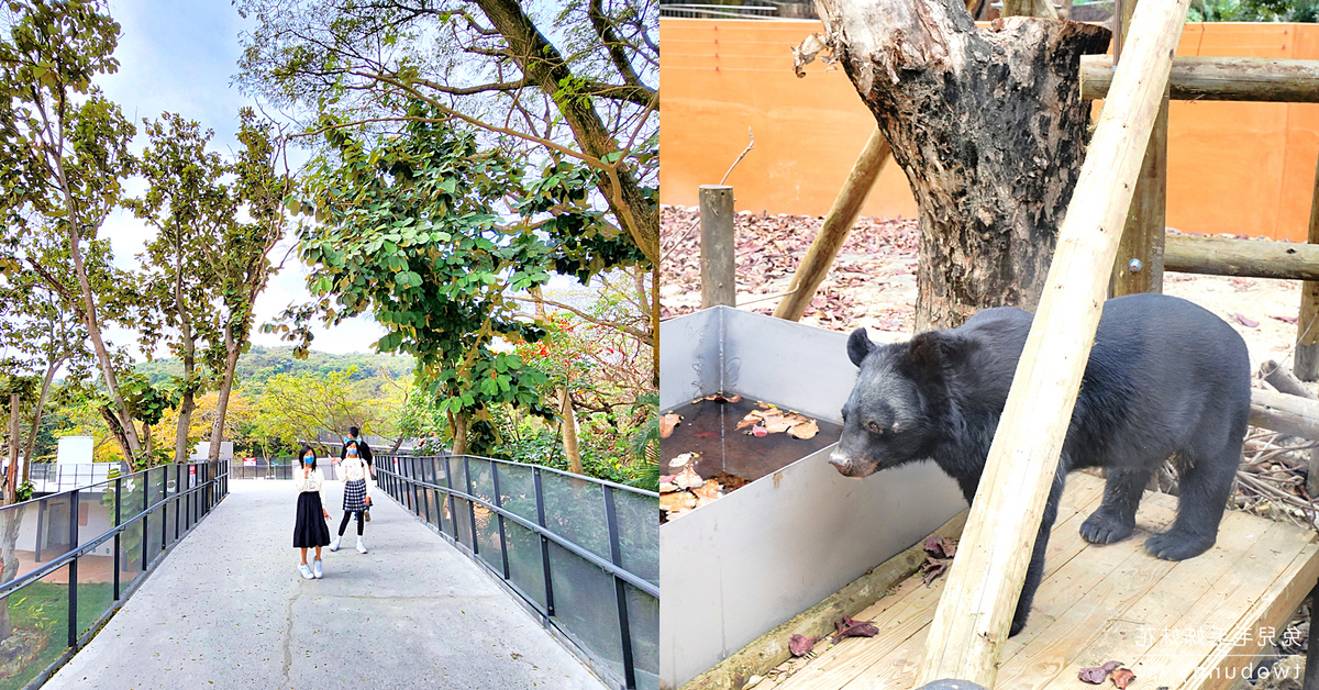 高雄親子景點》壽山動物園2.0~全新天空步道、觀察廊道，獼猴陪吃體驗太難忘 @嘿!部落!