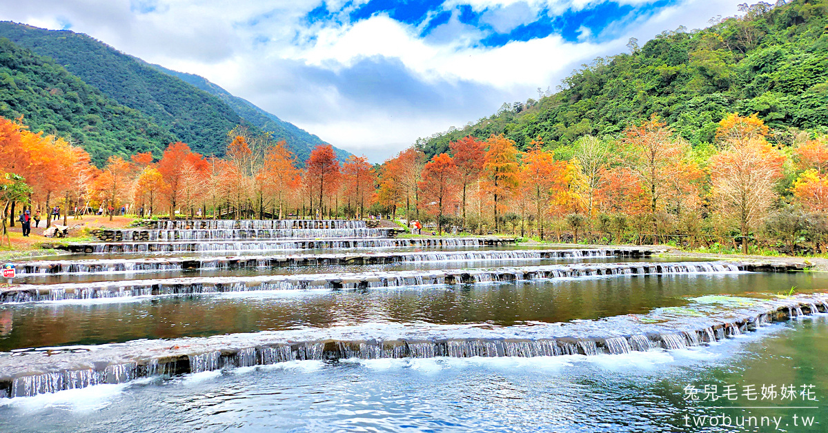 宜蘭落羽松》三層坪水土保持農塘教育園區～九層疊瀑水塘落羽松秘境｜最新預約及候補方式